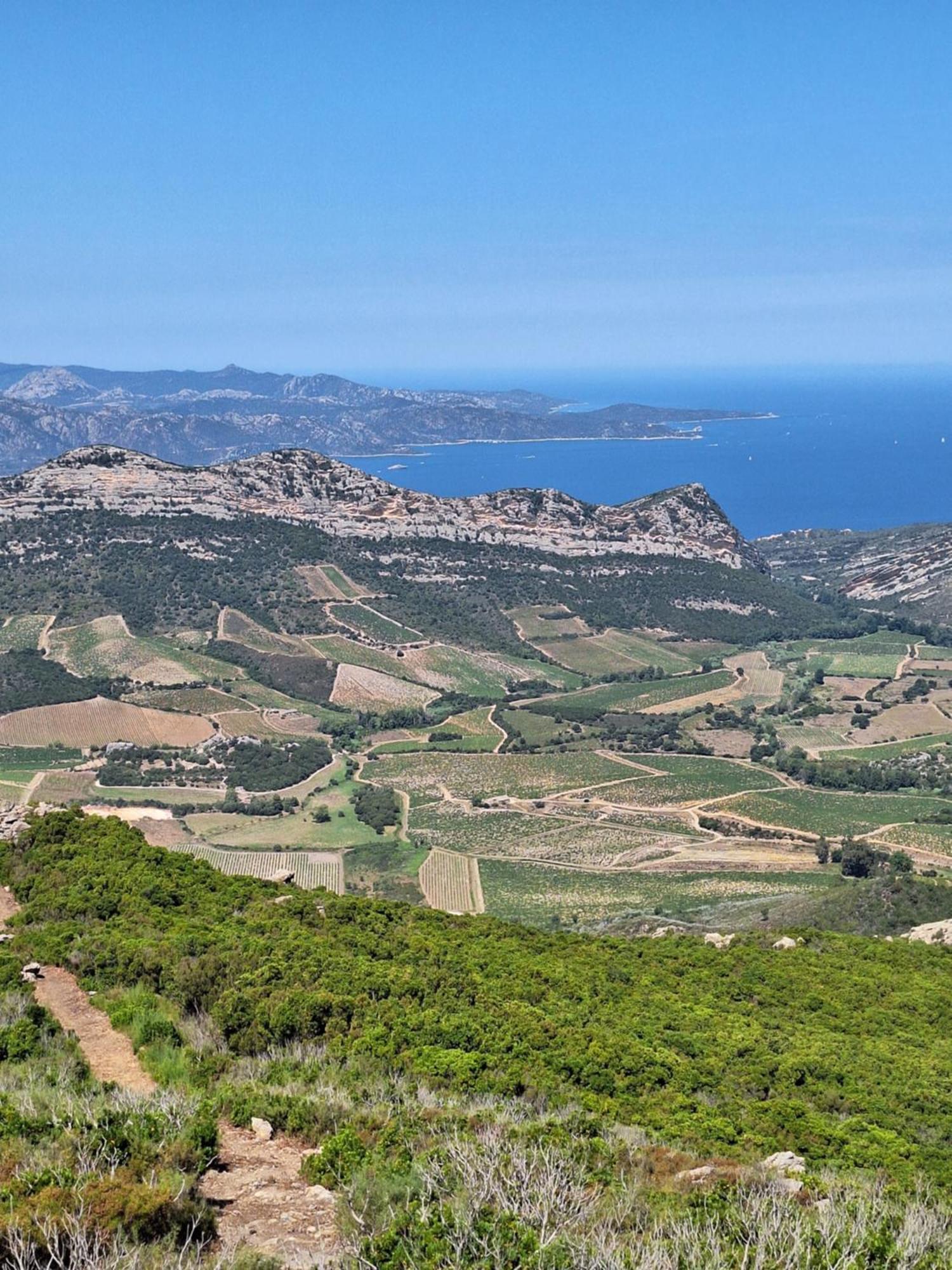 Le Clos Osteria Barbaggio Kültér fotó